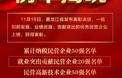 喜報(bào)|龍江表彰優(yōu)秀民營(yíng)企業(yè) 寶泰隆收獲兩項(xiàng)殊榮