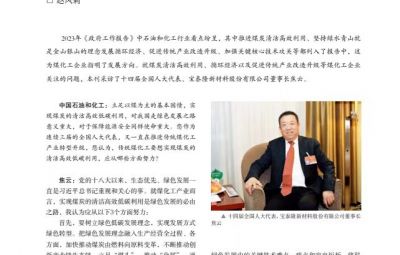 打破傳統(tǒng)走綠色轉(zhuǎn)型之路——訪十四屆全國人大代表、寶泰隆新材料股份有限公司董事長焦云